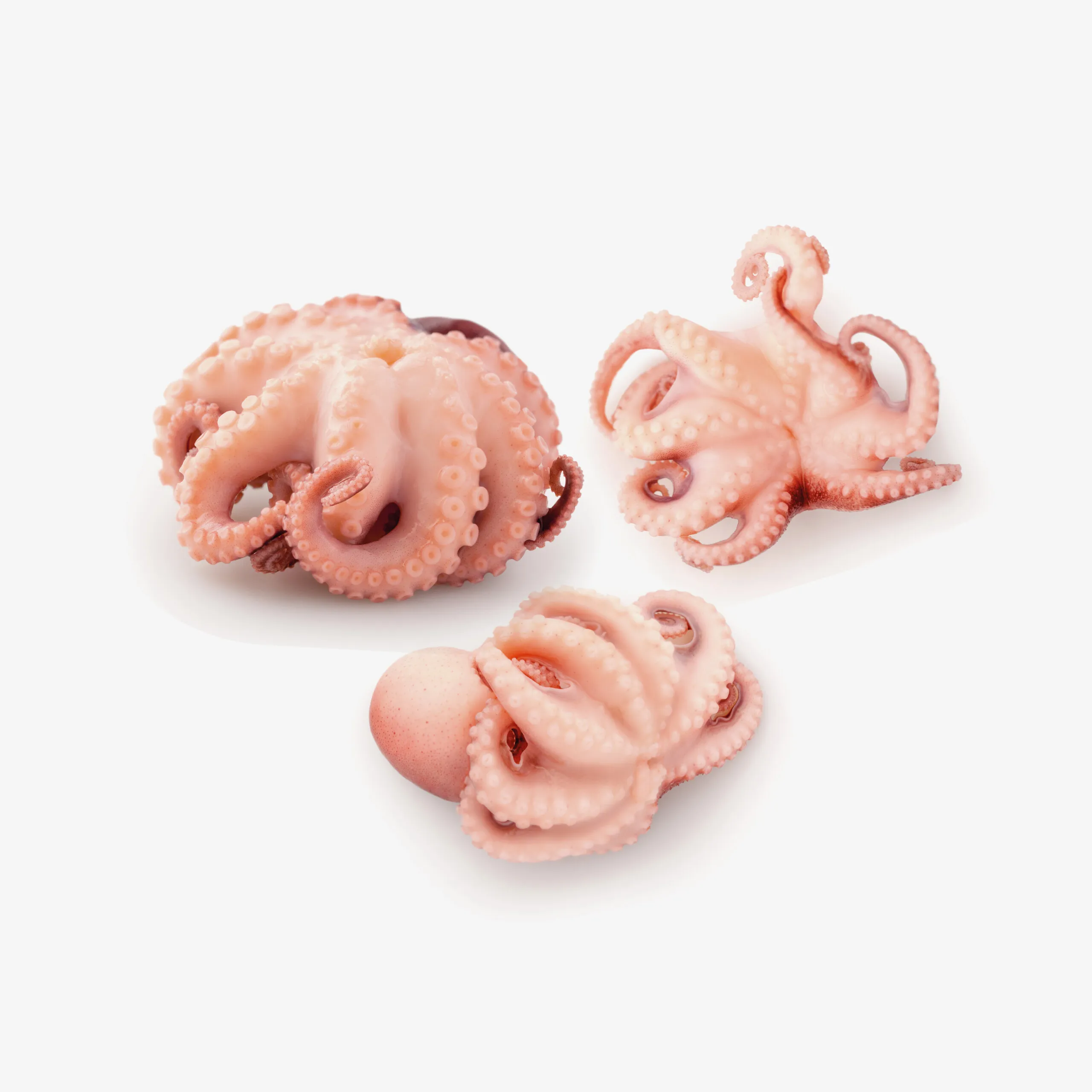 PULPO BABY X 900 G